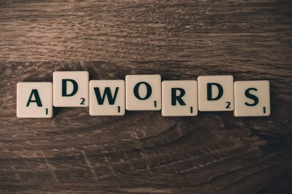 Google Ads Specialist