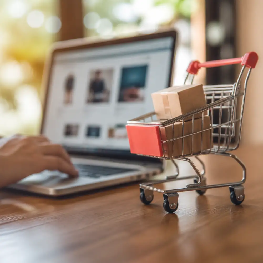 vykonnostni marketing pro e shop